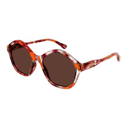CHLOÉ CC0010S 005 005 HAVANA BROWN