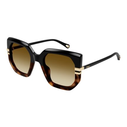 CHLOÉ CH0240S 003 BLACK-BROWN
