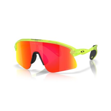 OAKLEY STUNT DEVIL 9517 03