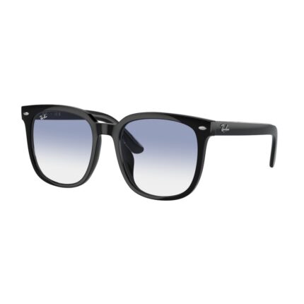 RAY-BAN RB 4401 601/19 NERO